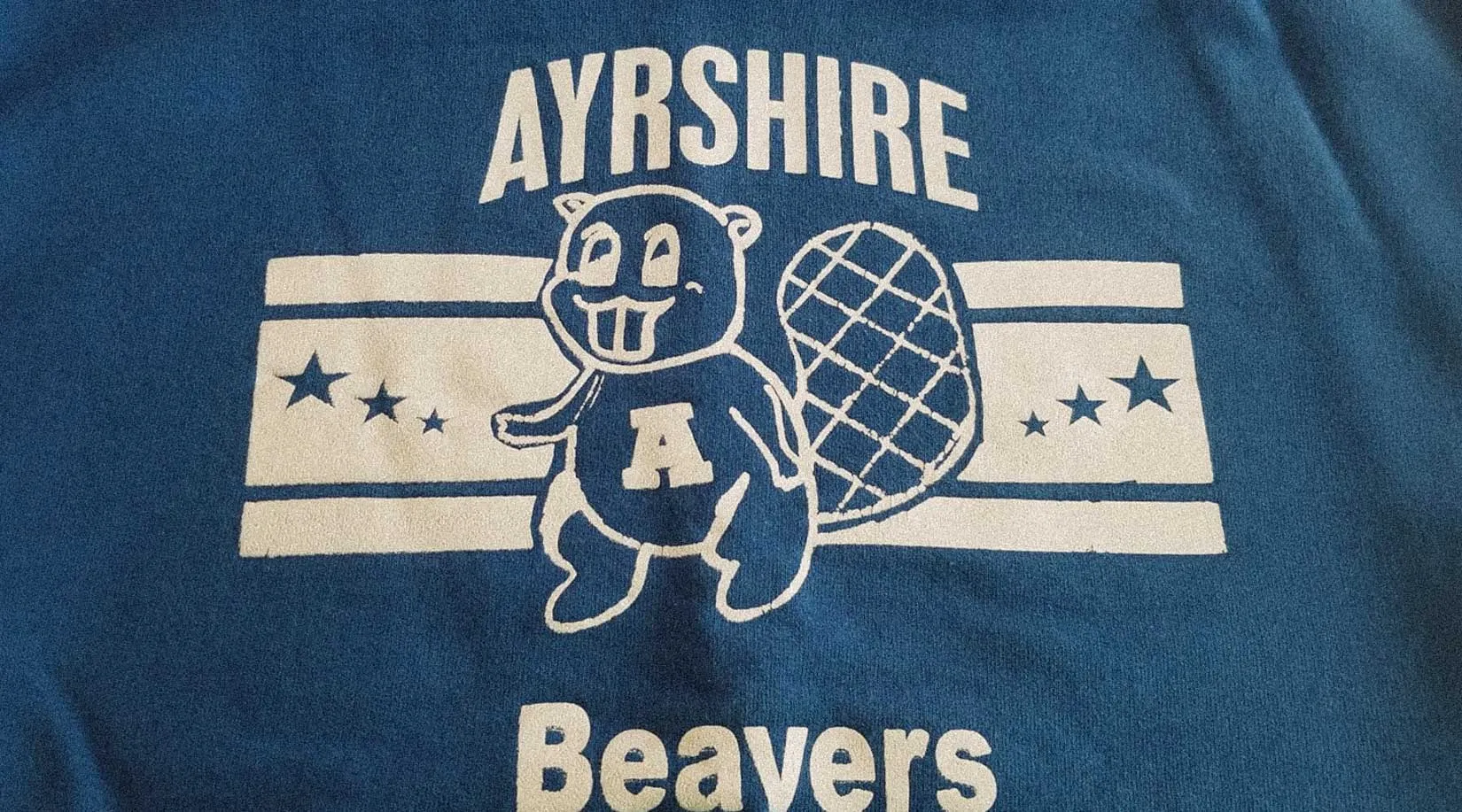 Vintage Ayrshire Beavers physical education T-shirt