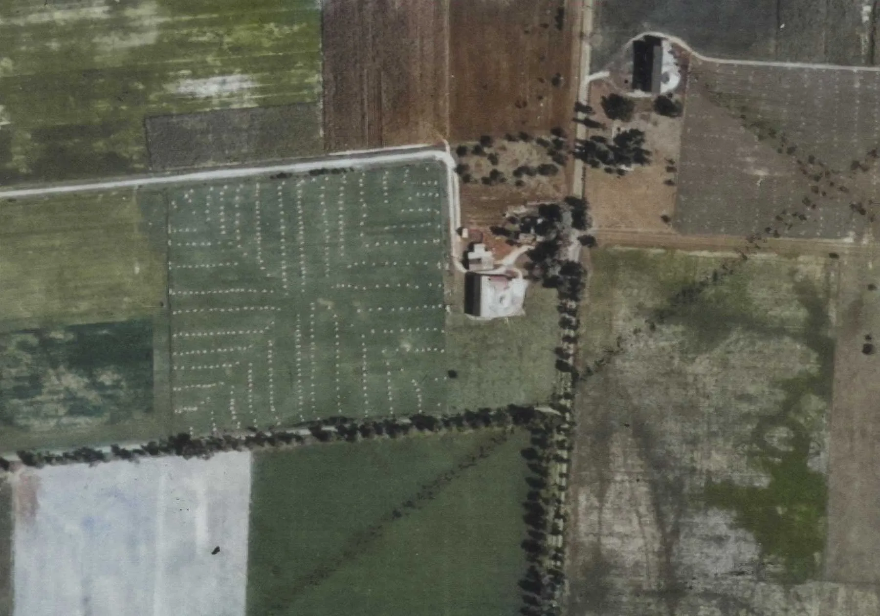 1938 Colorized Aerial Photo - Image courtesy of Cornell University Library