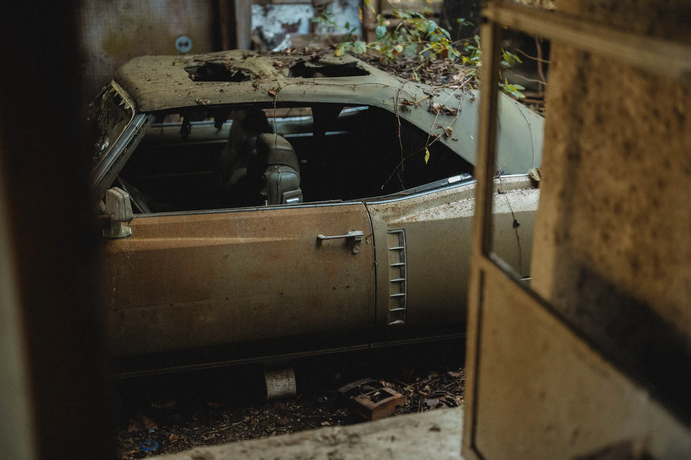 Overgrown 1971 Cadillac Eldorado convertible with vines inside farmhouse garage