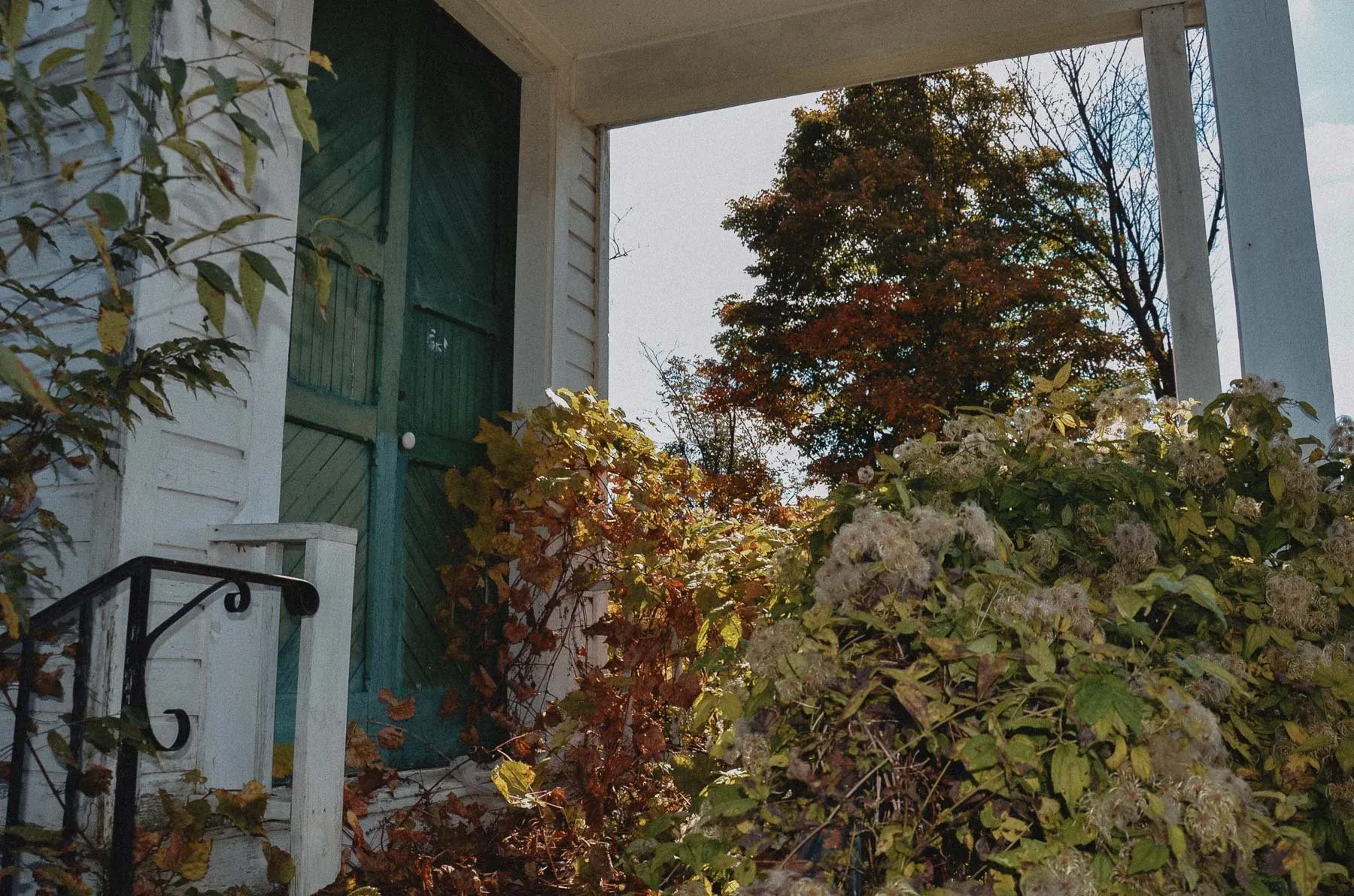 Overgrown porch and entryway at Cadis Baptist Church