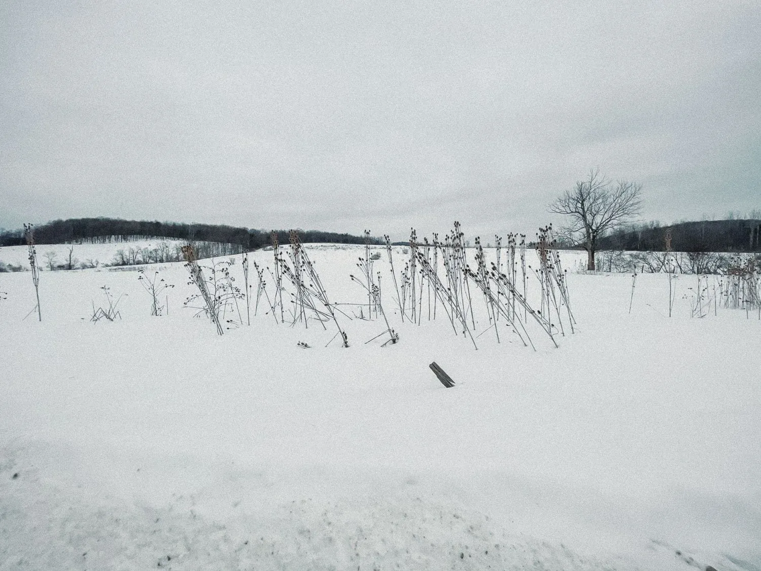 Snow-dusted lot showing the Cadis Baptist Church site after demolition in 2021