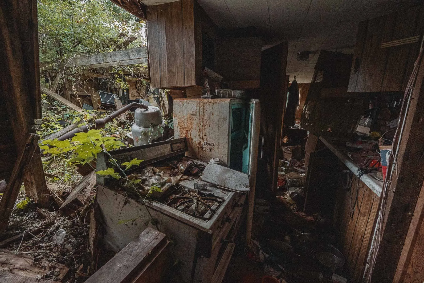 Kitchen with collapsed walls and vines creeping over vintage appliances