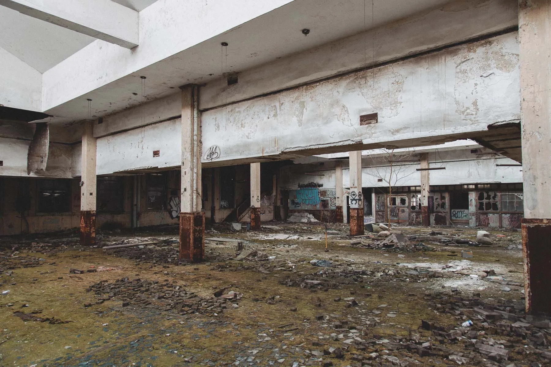 Moss-covered mailroom inside the abandoned Gary United States Post Office