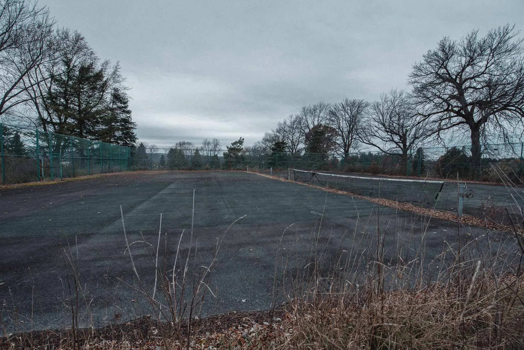 Overgrown tennis court at the abandoned LaFayette Hills Golf Country Club
