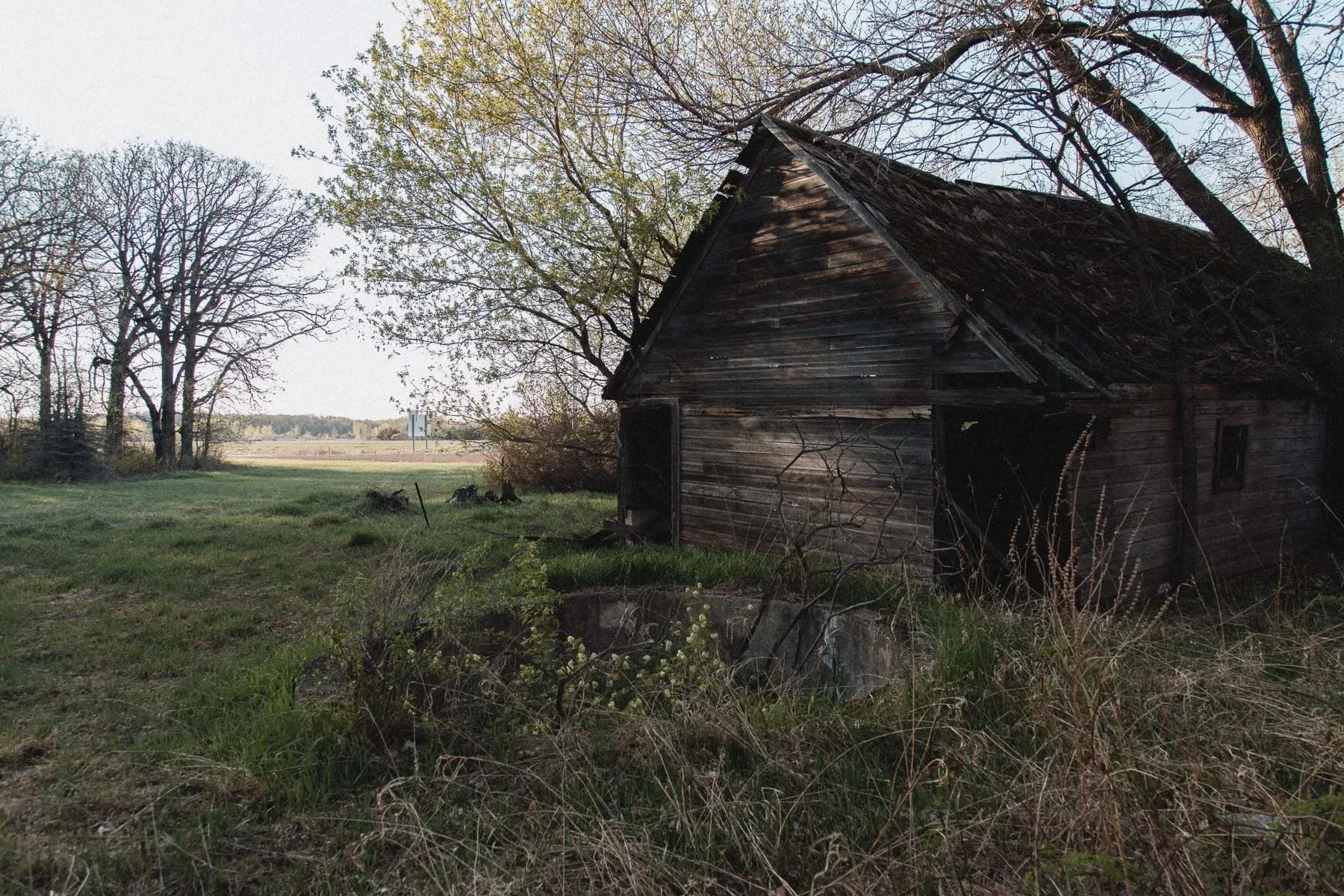 Overgrown barn and silo at Landwehr Century Farm