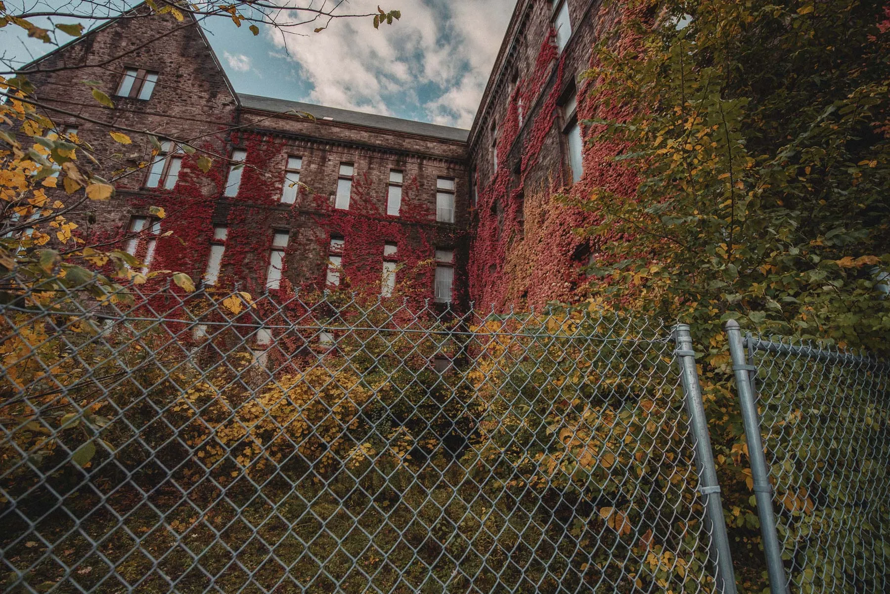 Tower wing of the Richardson Olmsted Complex covered in fall vines in Buffalo, New York