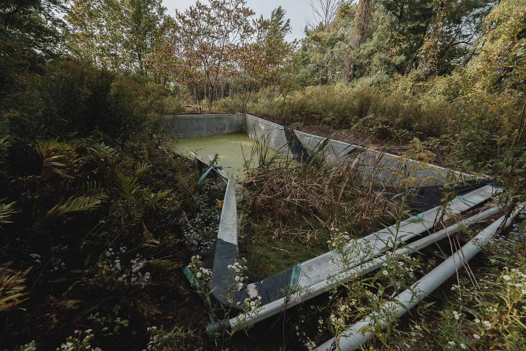 Collapsing pool enclosure behind the Starcruiser House