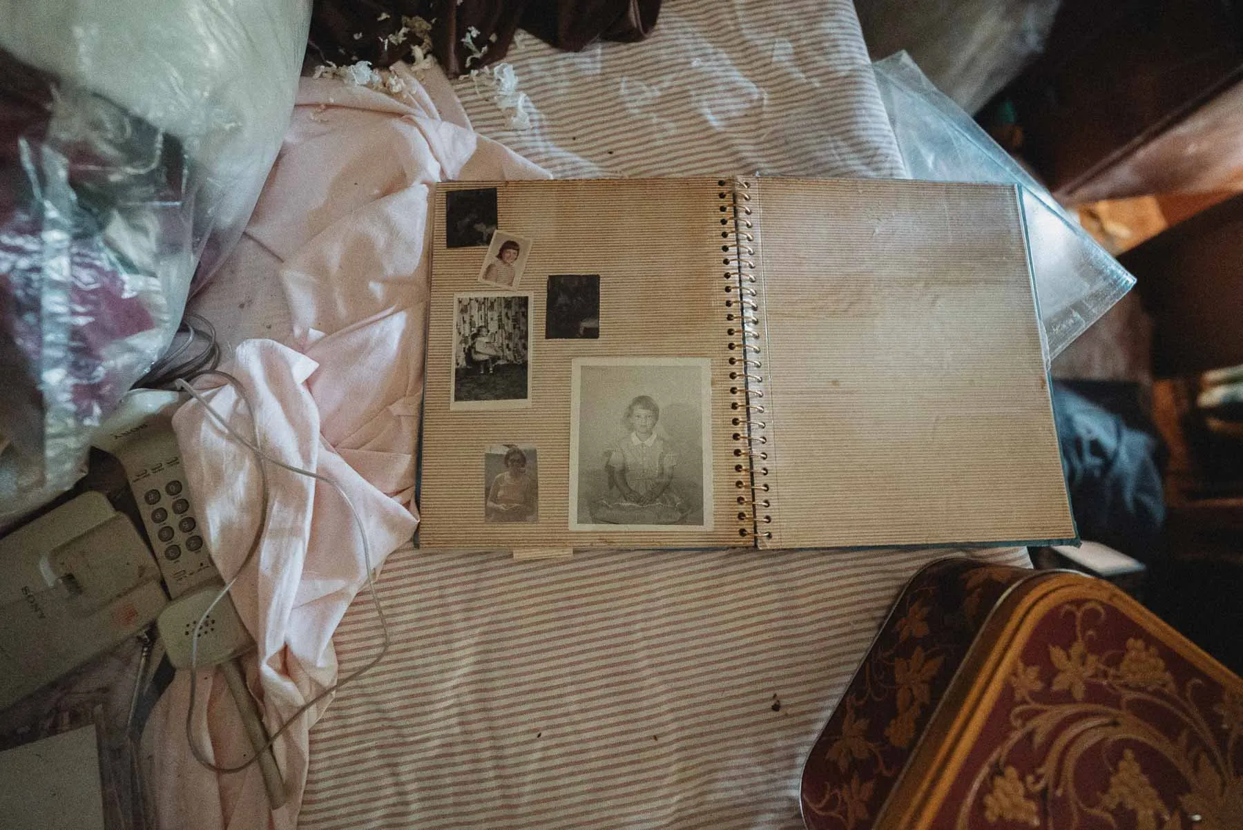 Family portraits displayed in the Starcruiser House stairwell