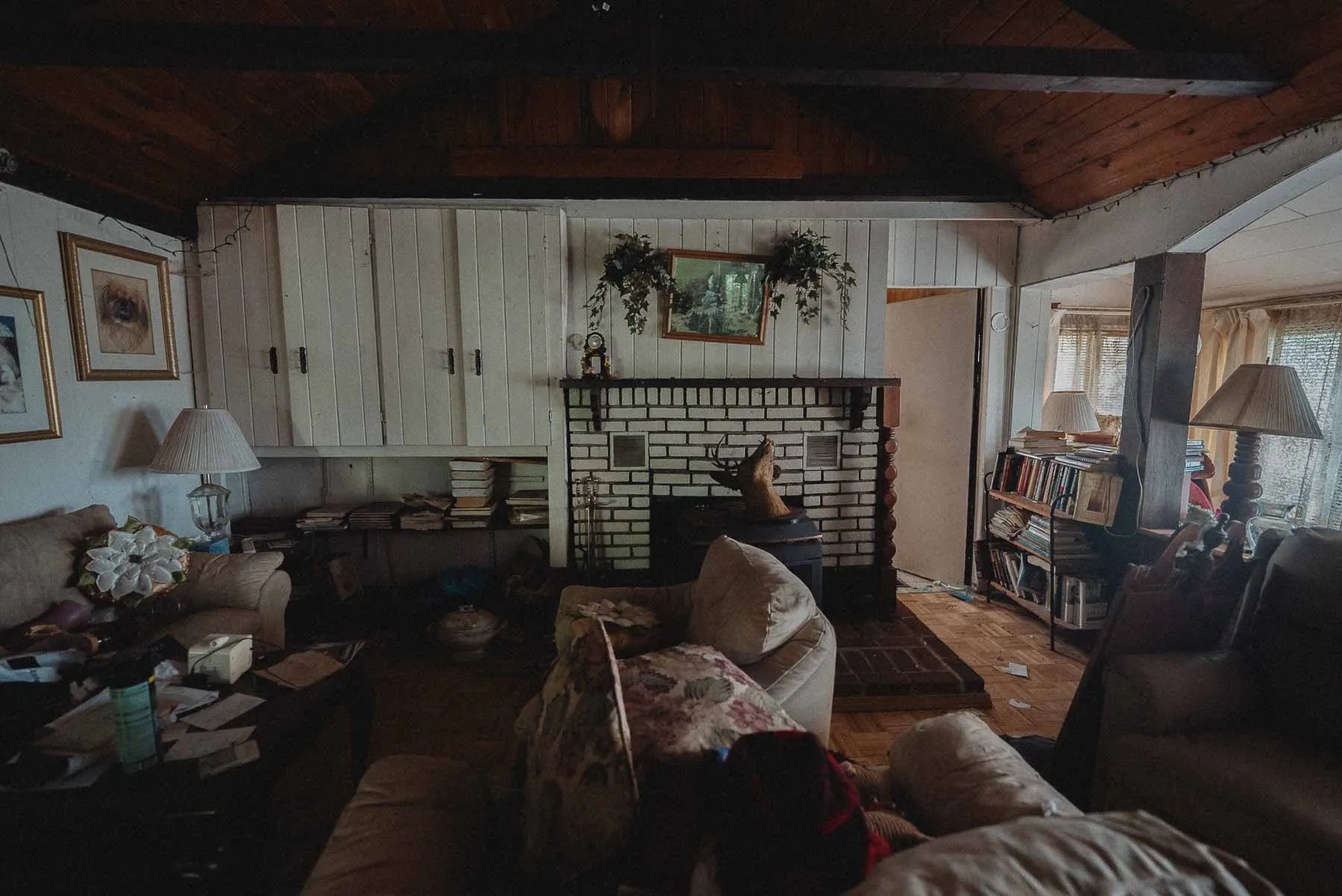 Framed deer mount inside the Starcruiser House living room