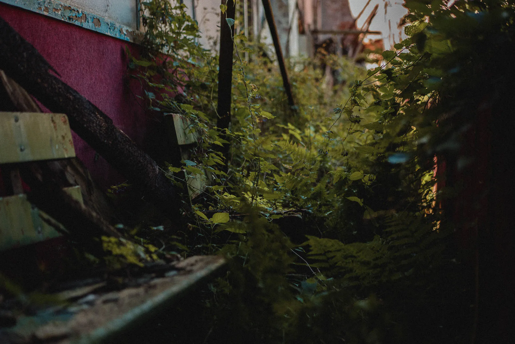 Overgrown green benches inside the abandoned Coliseum powerhouse in Ceres, NY