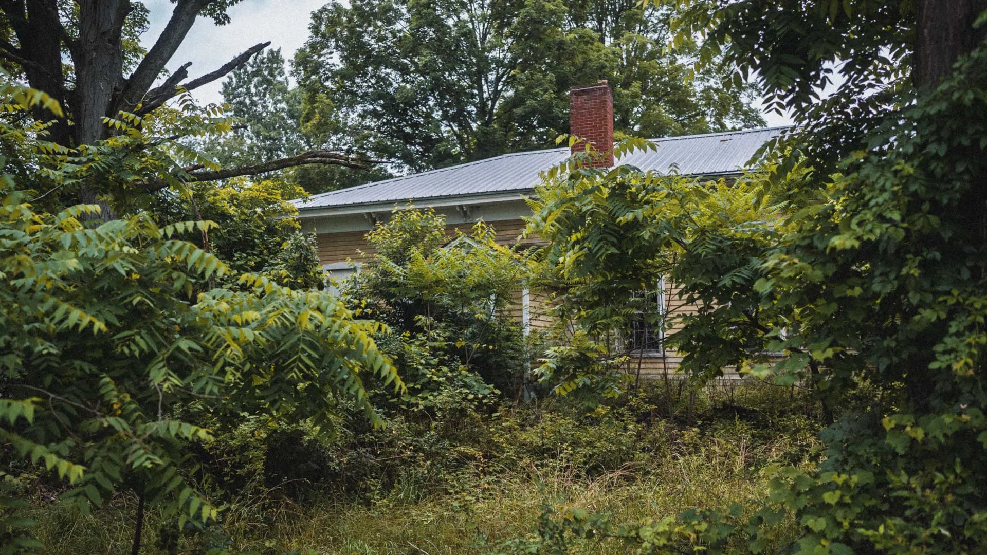 Overgrown exterior of the Wiscoy two-room schoolhouse during summer 2023