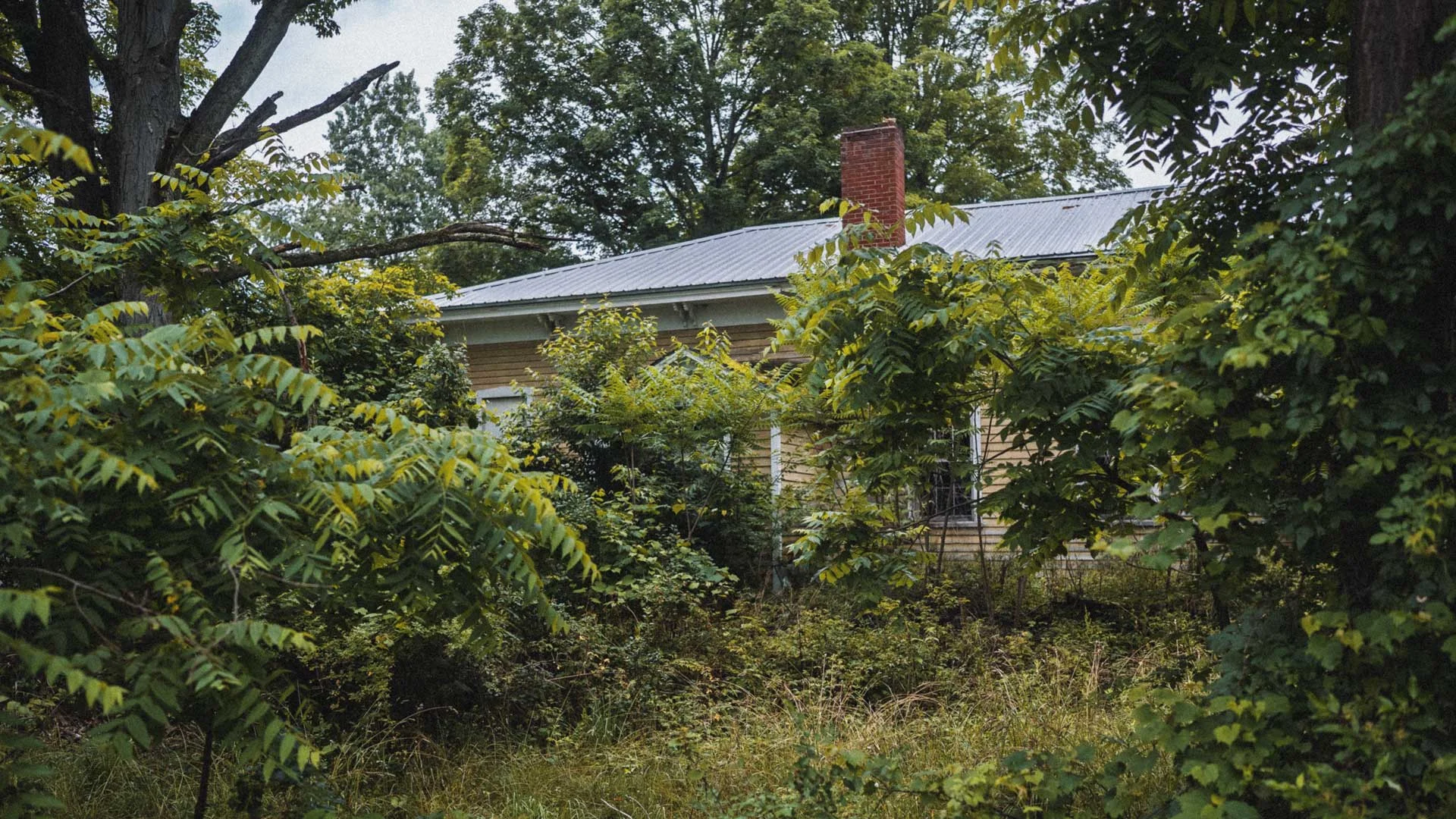 Overgrown exterior of Wiscoy School District 9 during summer 2023