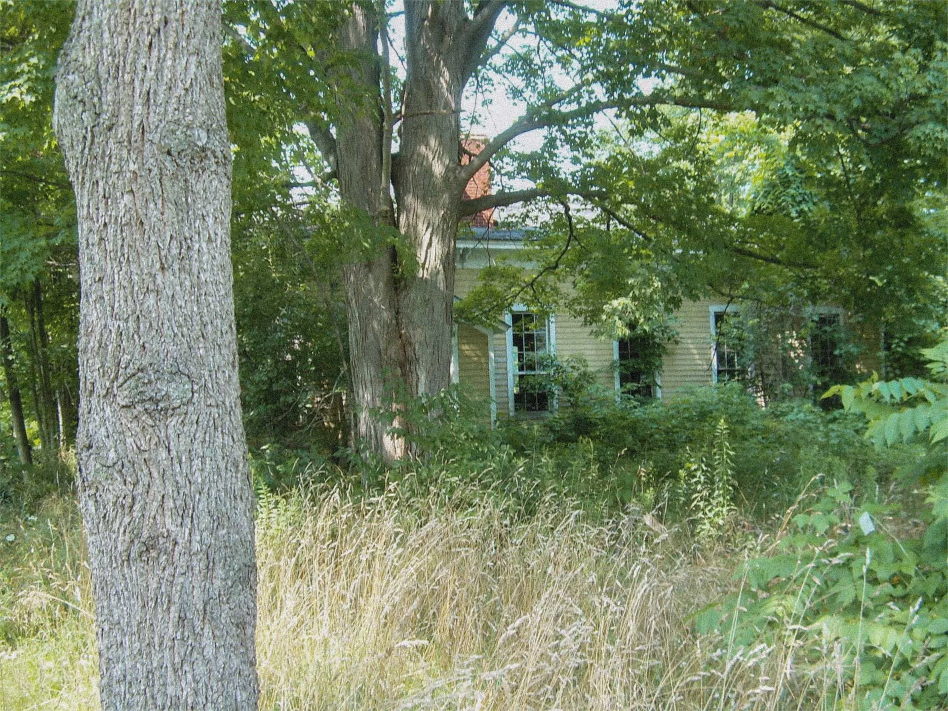 Allegany County tax record photograph of Wiscoy School from August 2009