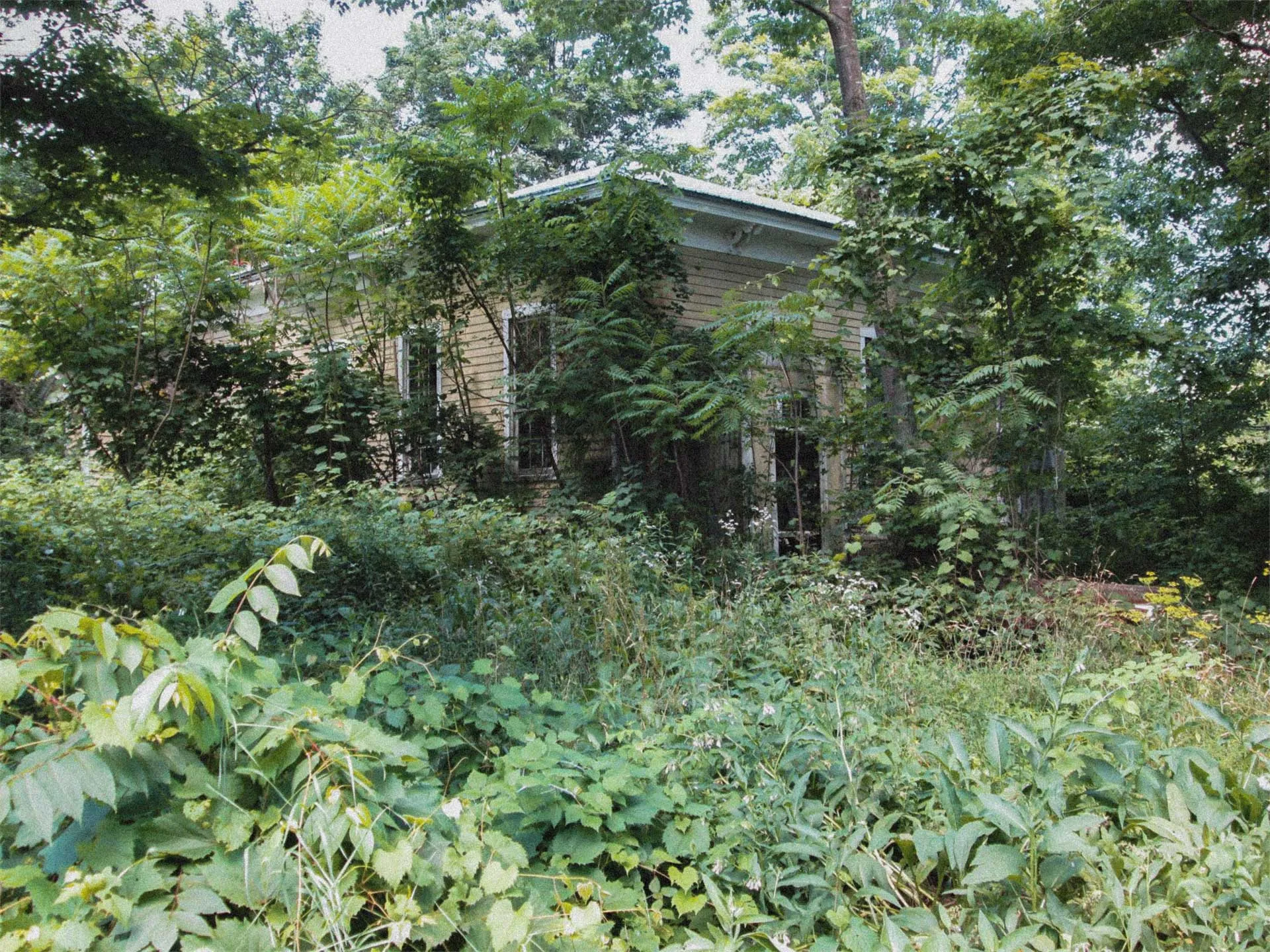 Allegany County tax record photograph of Wiscoy School from July 2015